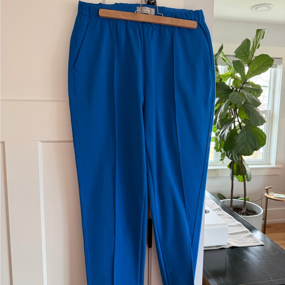 Everlane Electric Blue Tailored Elastic-Waist Dress Pants - Picture 5 of 11
